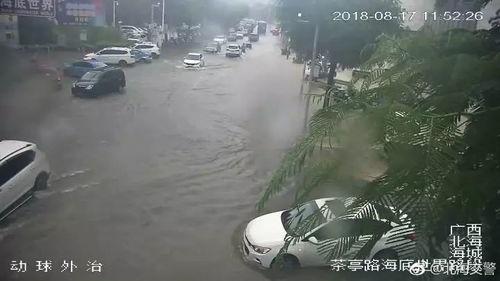 成人下暴雨的视频真实,成人世界里的真实瞬间