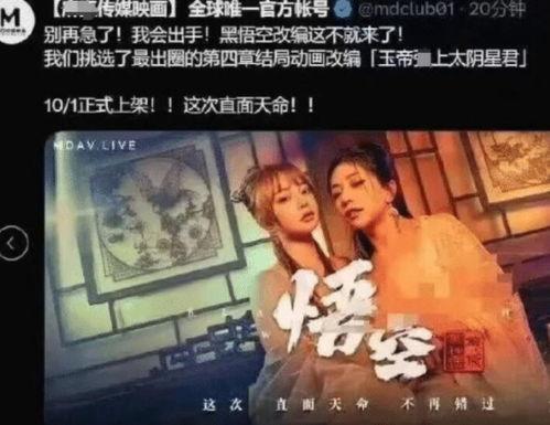 成人无码免费视频播放,免费观看背后的真相与风险